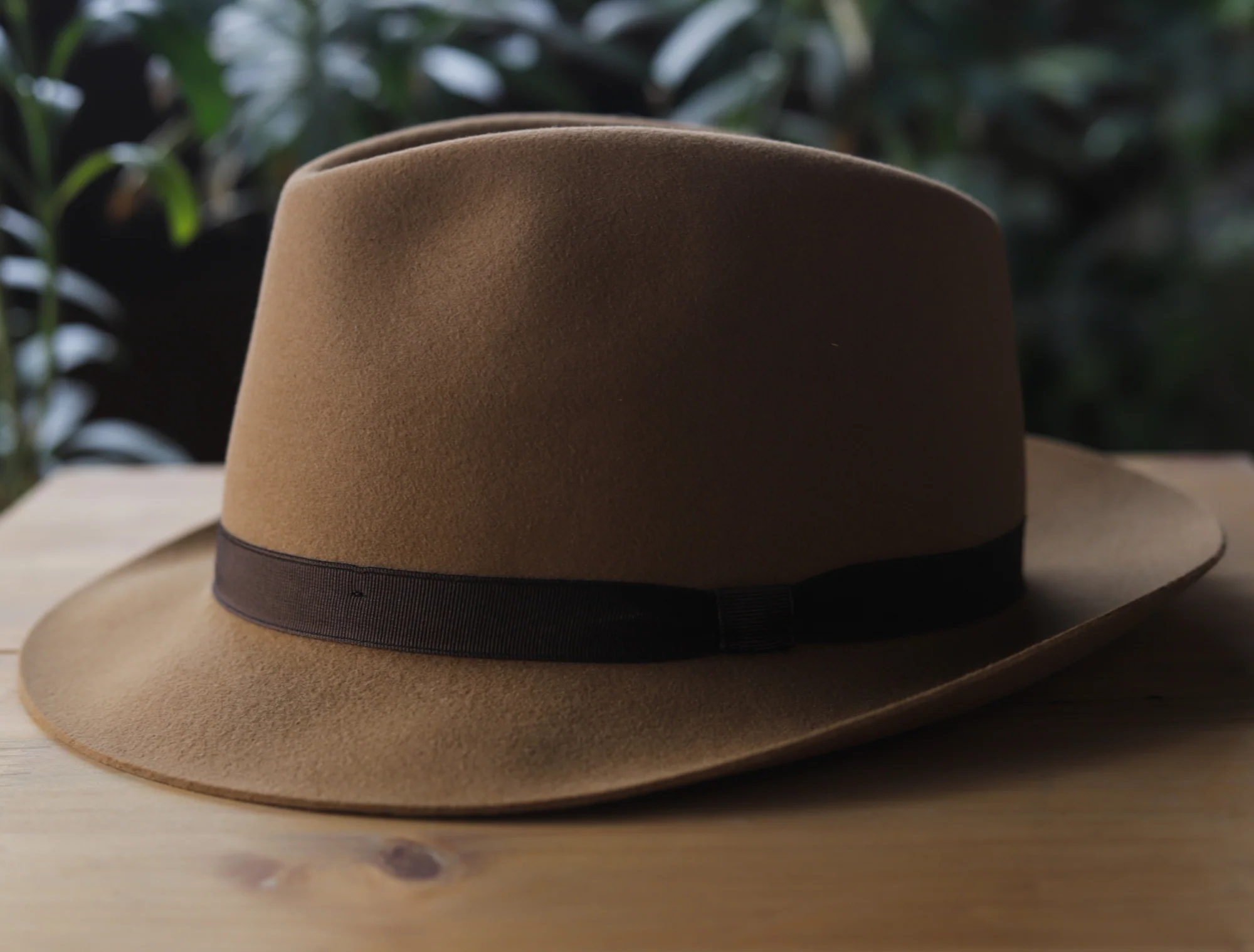 Sombreros